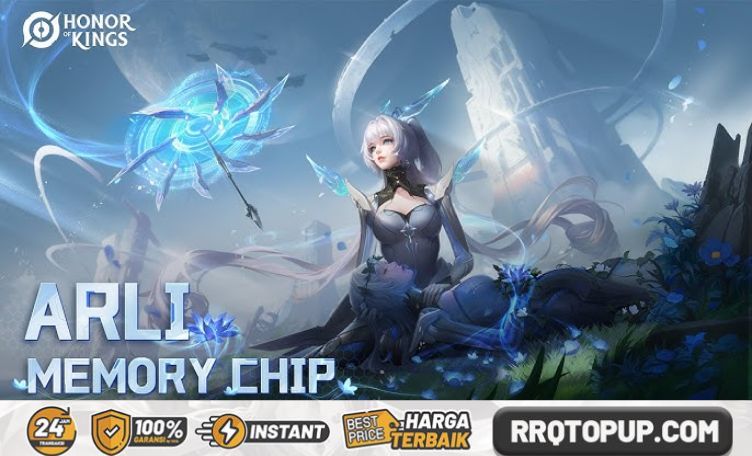 Skin Arli Memory Chip