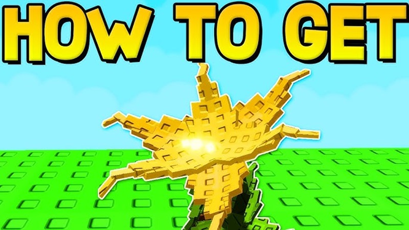Guide Honeysuckle Grow a Garden