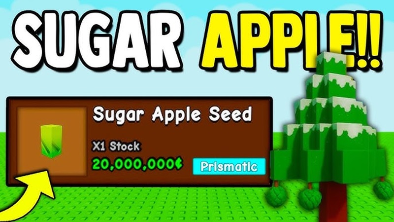 sugar apple grow a garden