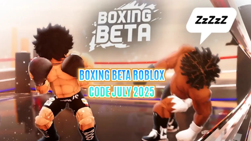Code Boxing Beta Roblox
