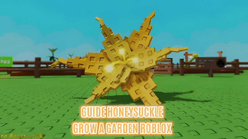 Guide Honeysuckle Grow a Garden