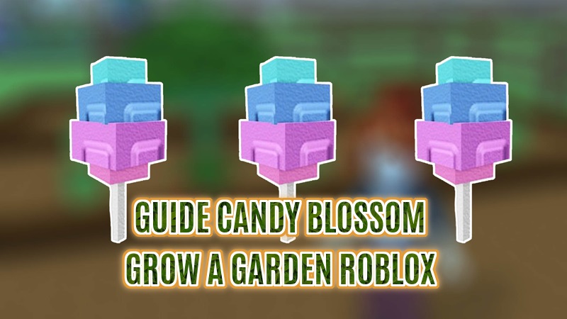 Guide Candy Blossom Grow a Garden