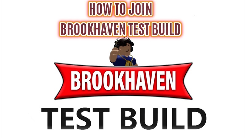 Brookhaven test build