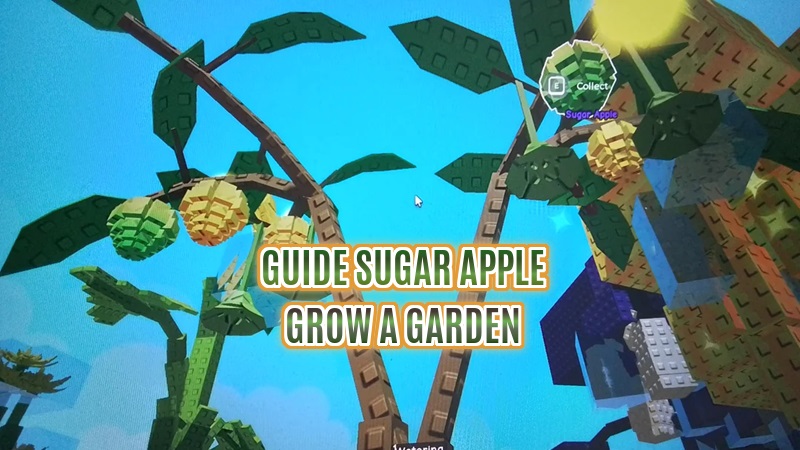 sugar apple grow a garden
