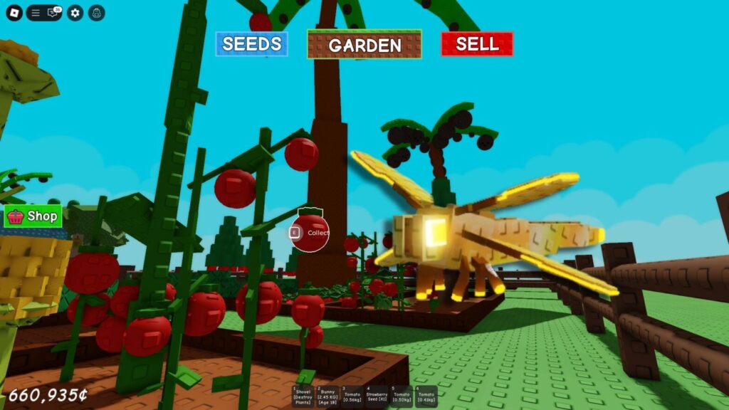 dragonfly grow a garden article