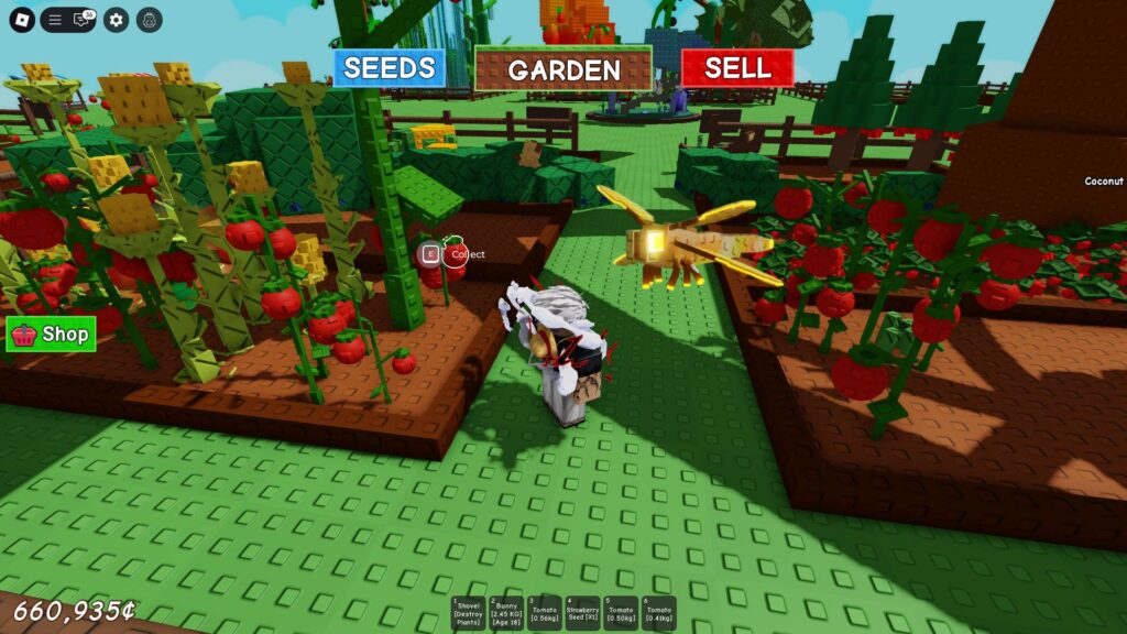 dragonfly grow a garden article