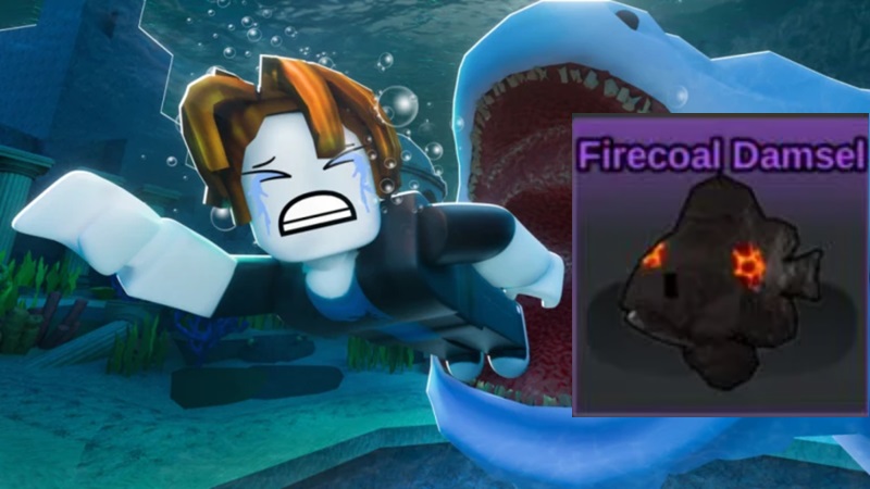kohana fish it