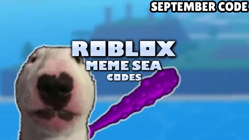 code meme sea