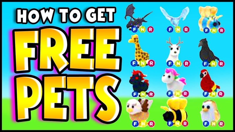 free pets adopt me