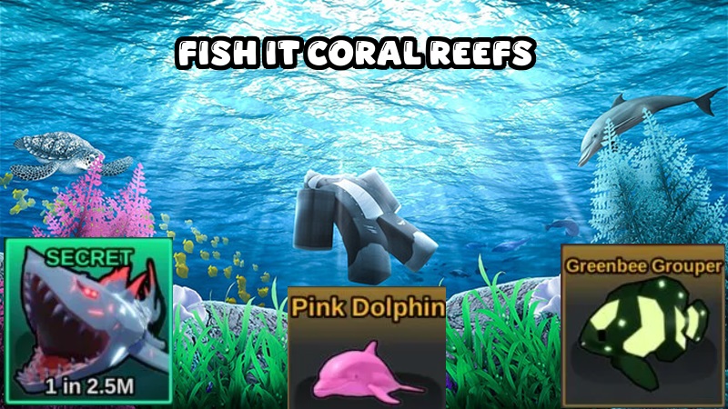 coral fish it