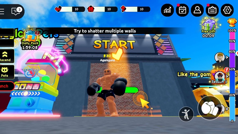 Panduan Pemula Punch Wall Roblox