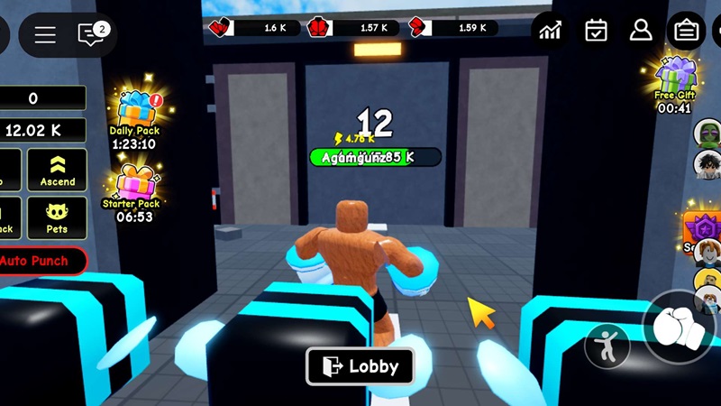 Panduan Pemula Punch Wall Roblox