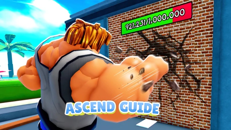 Punch Wall Ascend Guide