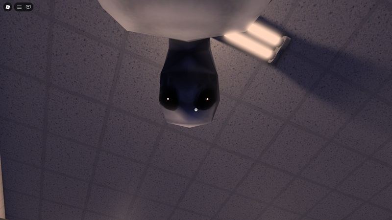 strategi co-op Road-Side Shawarma