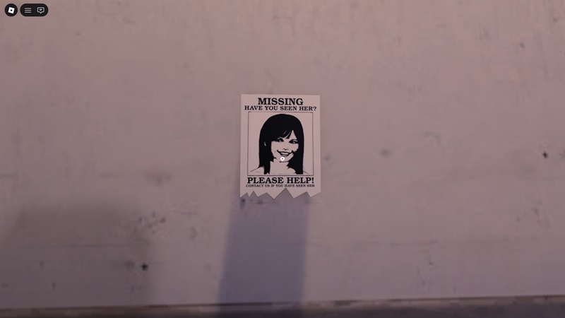 Special Order Road-Side Shawarma