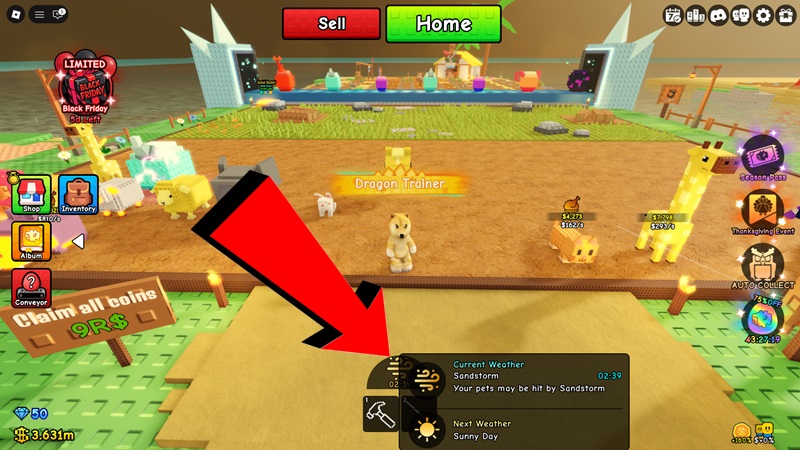 Pet Placement Build a Zoo Roblox