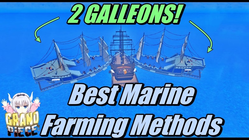 Build Ship Farming