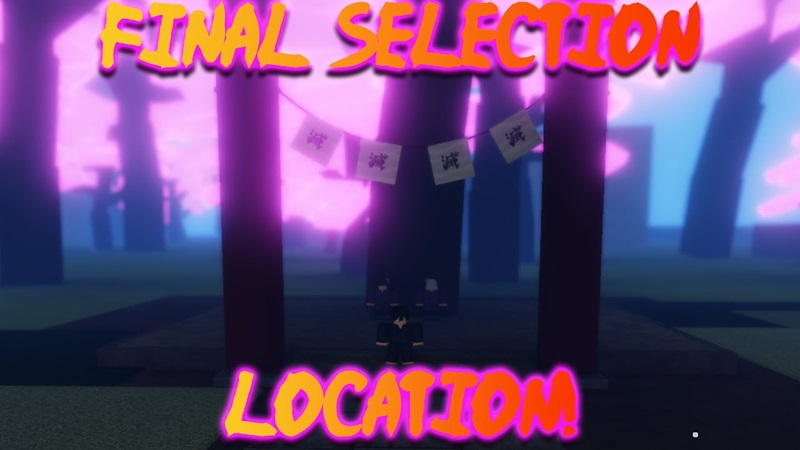 Lulus Final Selection