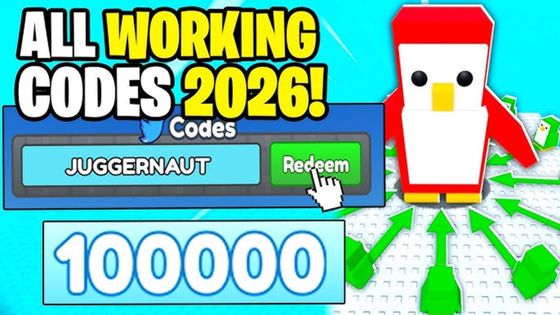 code Knockout! februari 2026