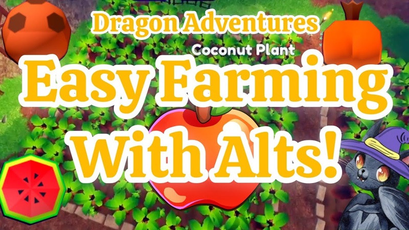cara farming coin Dragon Adventures